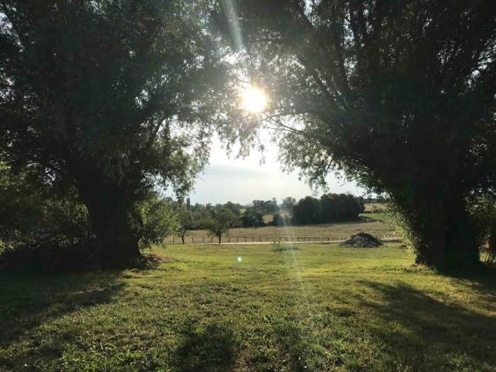 La Grange A Outeaux Bed & Breakfast Montpont-en-Bresse Exterior foto